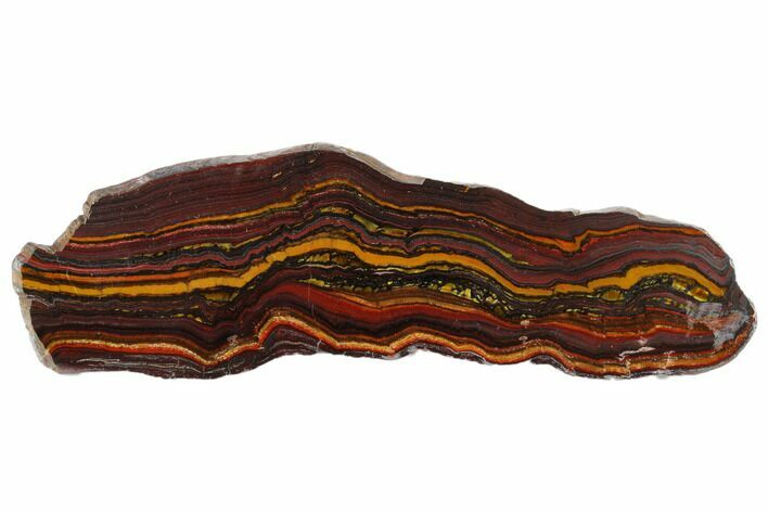Polished Tiger Iron Stromatolite Slab - Billion Years #185916